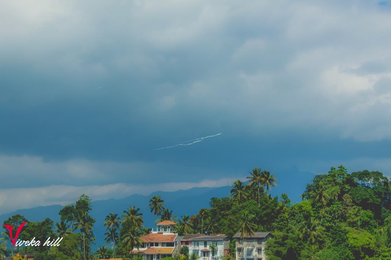 Viveka Hill Bed and Breakfast Kandy Buitenkant foto